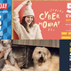 50% off everything from Old Navy | 50% off everything from GAP with code CYBMON | 50% off everything at Banana Republic